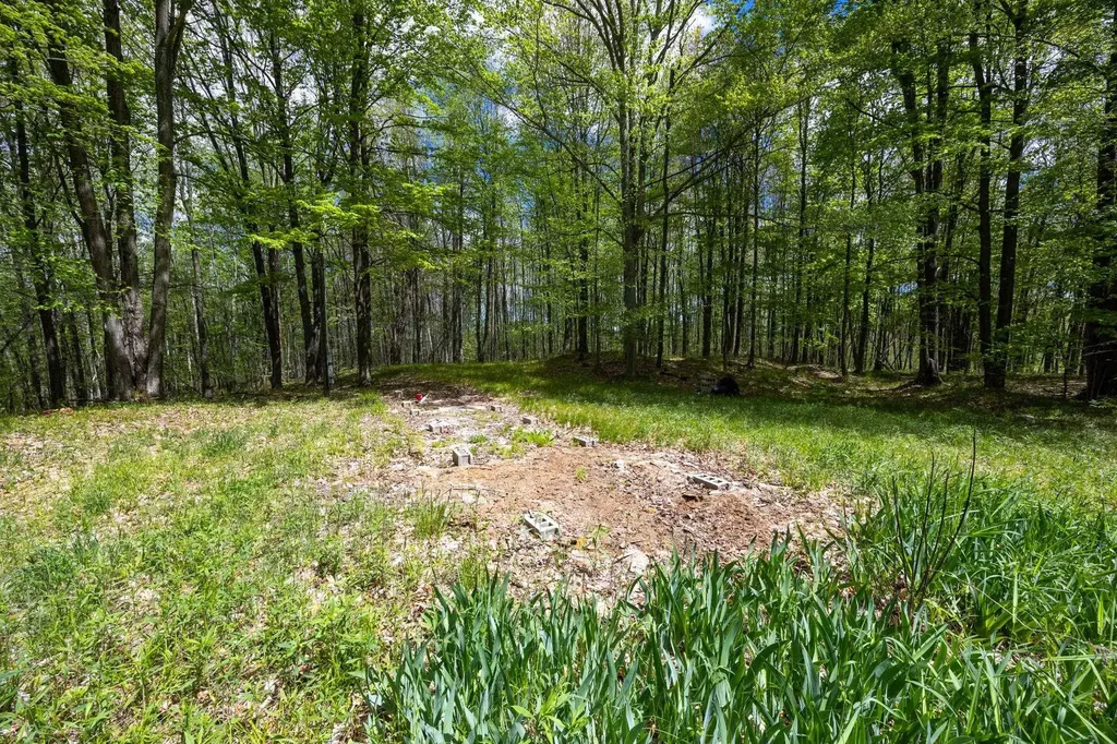16130 140th Avenue Rose Lake Township MI 49655