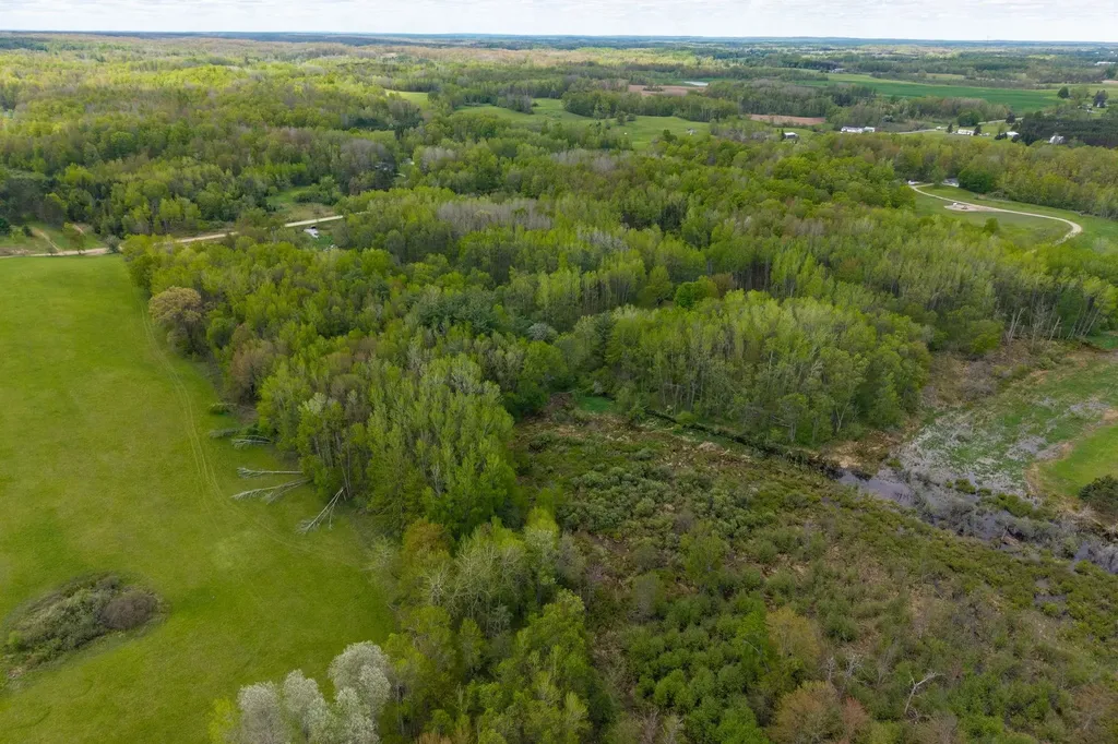 16130 140th Avenue Rose Lake Township MI 49655