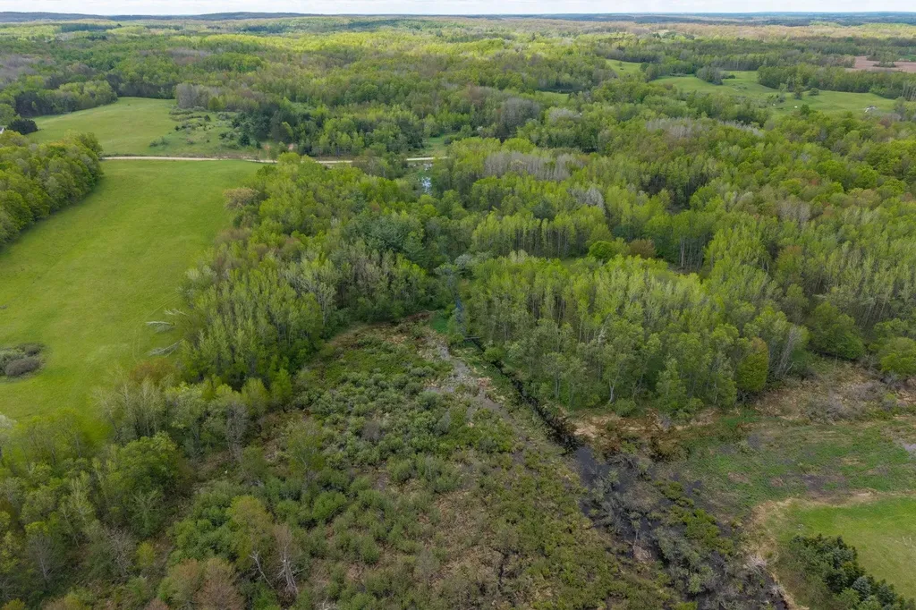 16130 140th Avenue Rose Lake Township MI 49655
