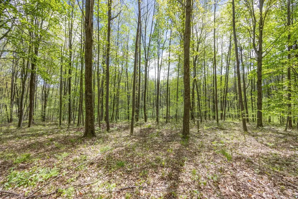 16130 140th Avenue Rose Lake Township MI 49655
