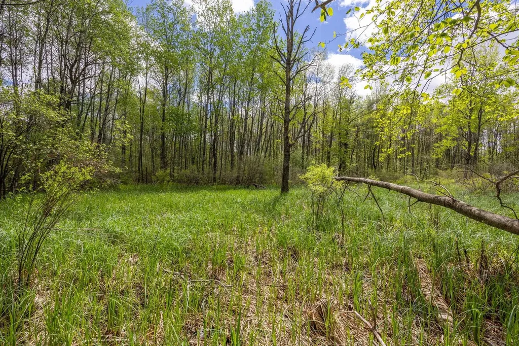 16130 140th Avenue Rose Lake Township MI 49655