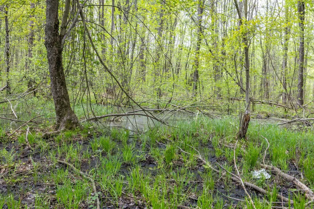 16130 140th Avenue Rose Lake Township MI 49655