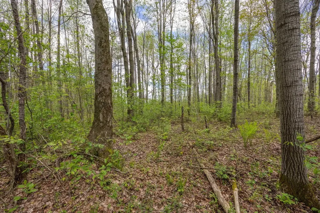 16130 140th Avenue Rose Lake Township MI 49655