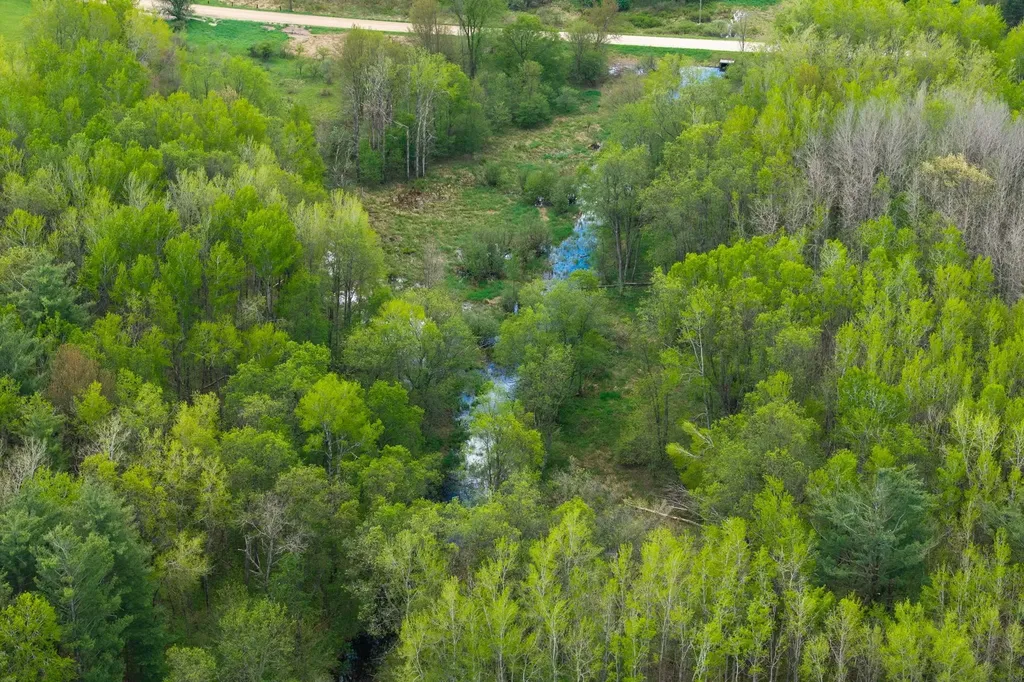 16130 140th Avenue Rose Lake Township MI 49655