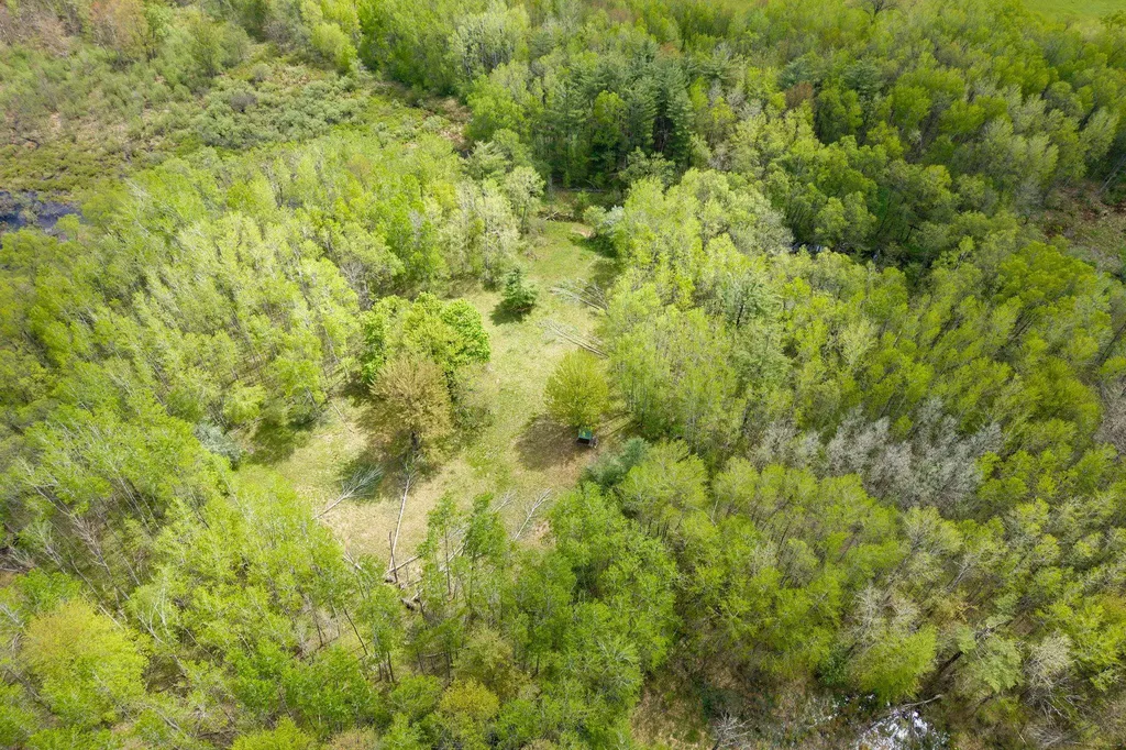16130 140th Avenue Rose Lake Township MI 49655