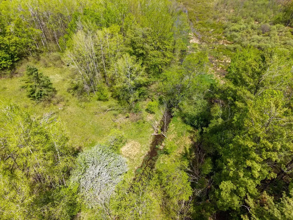 16130 140th Avenue Rose Lake Township MI 49655