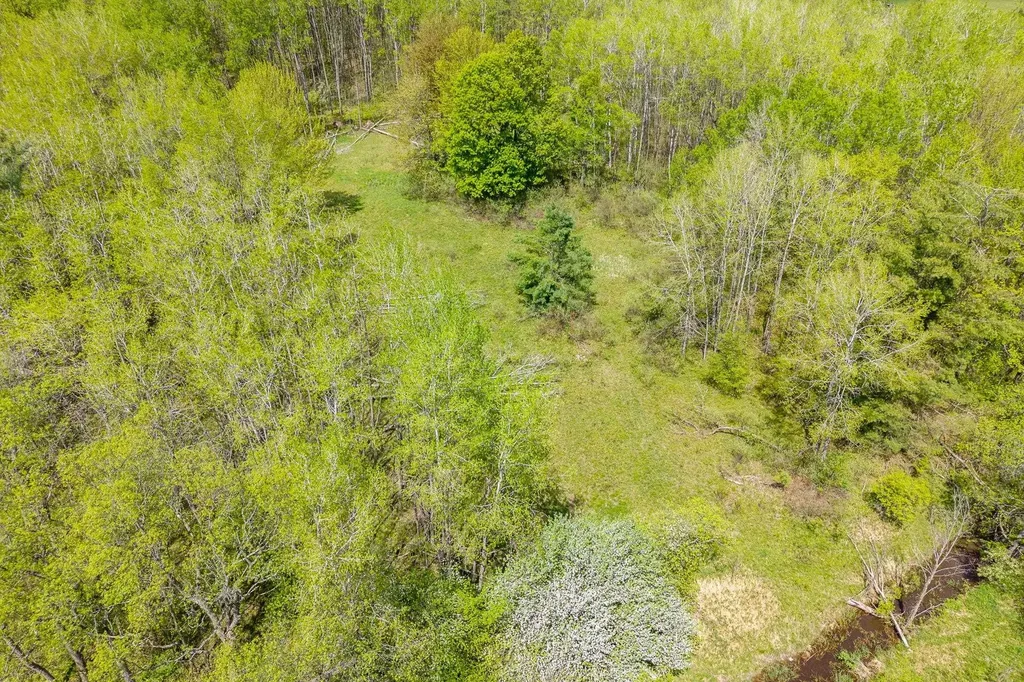 16130 140th Avenue Rose Lake Township MI 49655
