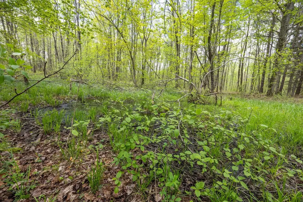16130 140th Avenue Rose Lake Township MI 49655