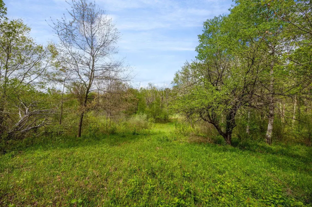 16130 140th Avenue Rose Lake Township MI 49655