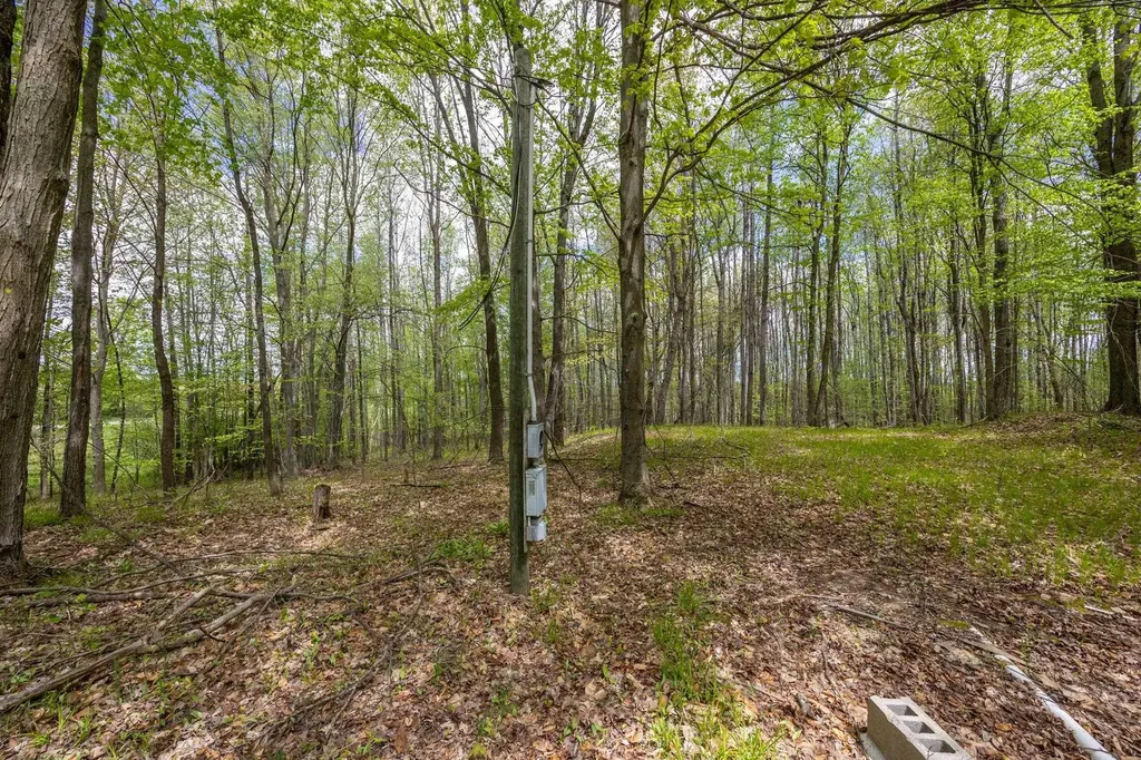 16130 140th Avenue Rose Lake Township MI 49655