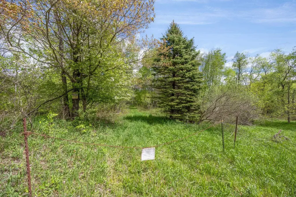 16130 140th Avenue Rose Lake Township MI 49655