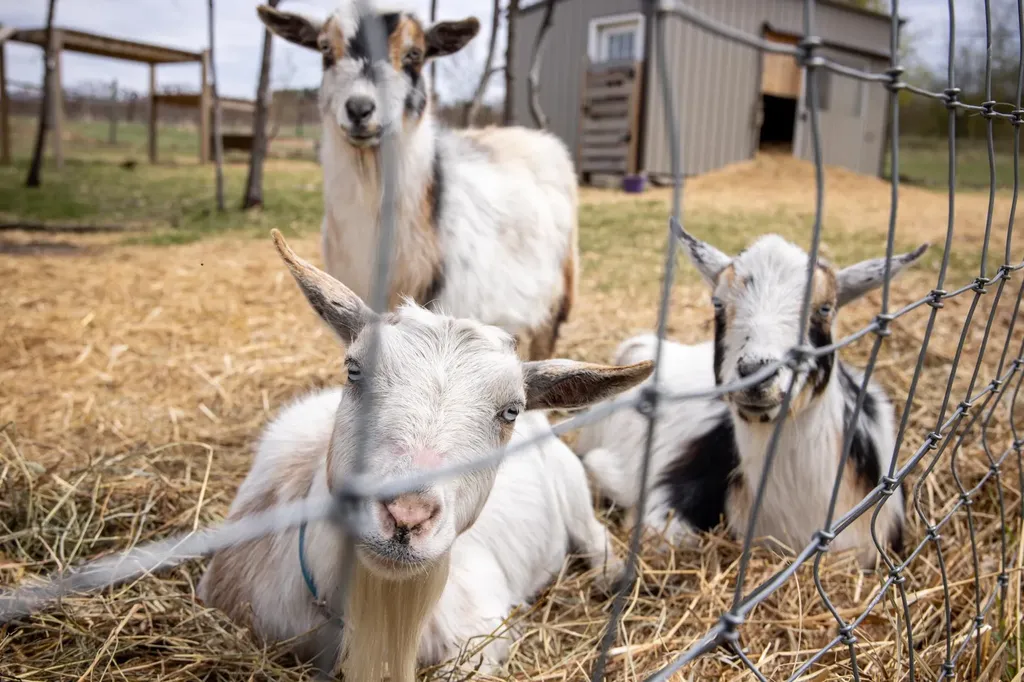 7825 S Lake Leelanau Drive Bingham Township MI 49684