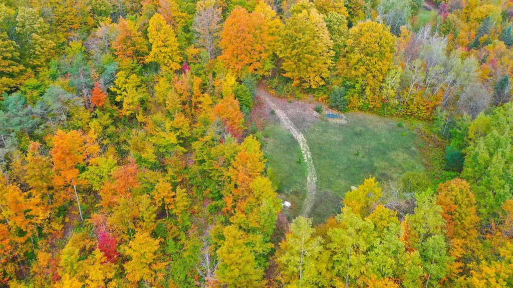 5391 Scholl Road Mancelona Township MI 49659