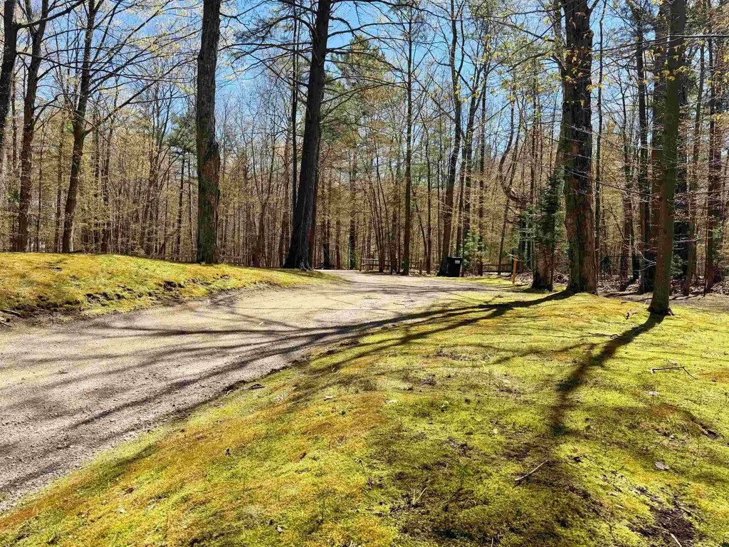 724 S Golden Beach Drive Torch Lake Township MI 49648
