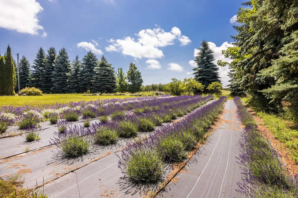 4133 Old Mission Road Peninsula Township MI 49686