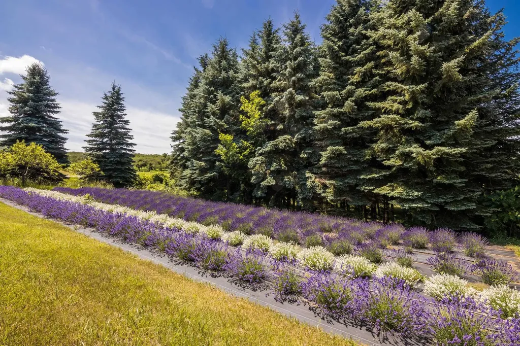 4133 Old Mission Road Peninsula Township MI 49686