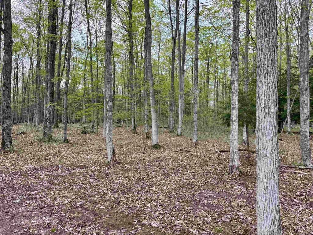 6639 Fall Road Green Lake Township MI 49637