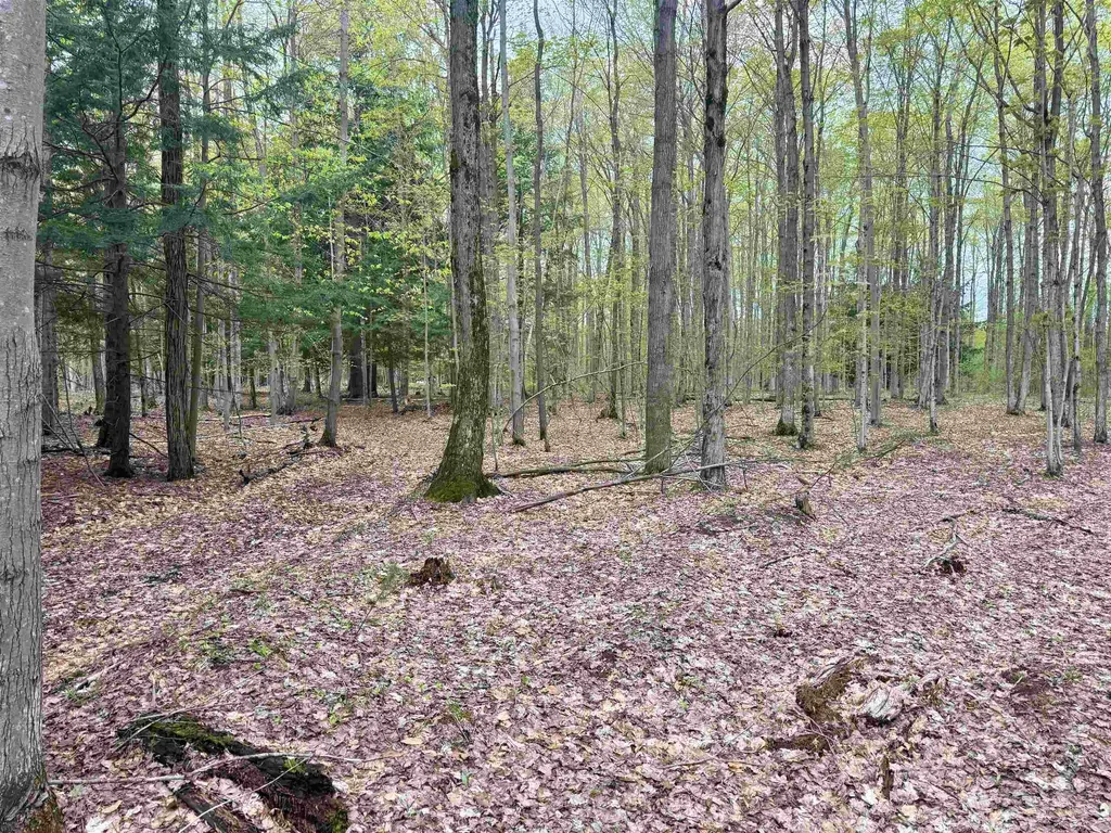 6639 Fall Road Green Lake Township MI 49637