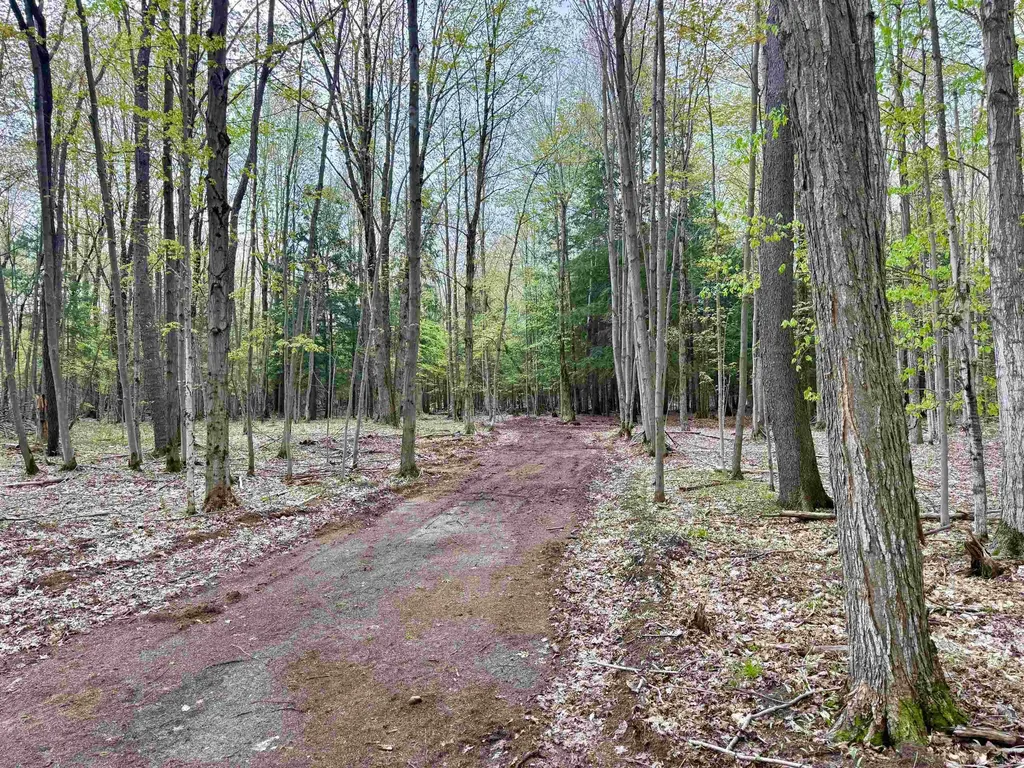 6639 Fall Road Green Lake Township MI 49637