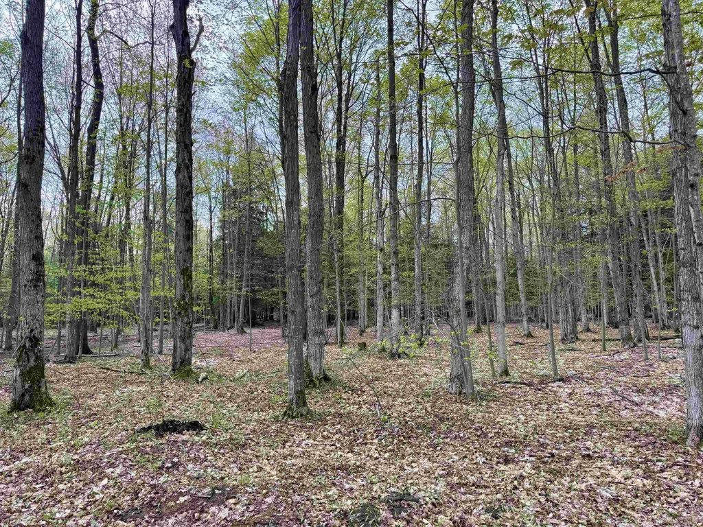 6639 Fall Road Green Lake Township MI 49637