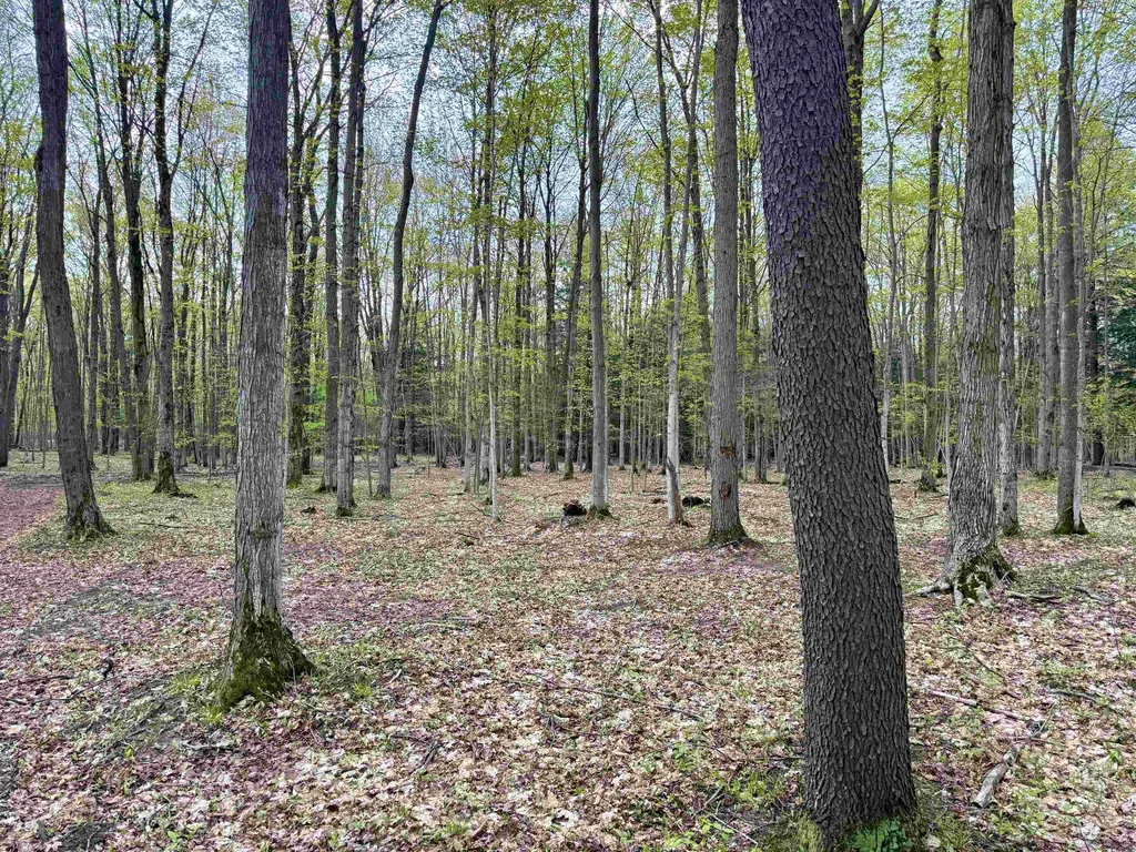6639 Fall Road Green Lake Township MI 49637