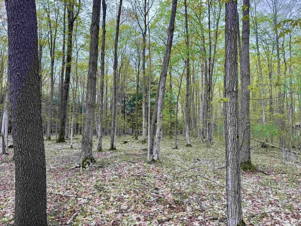 6639 Fall Road Green Lake Township MI 49637