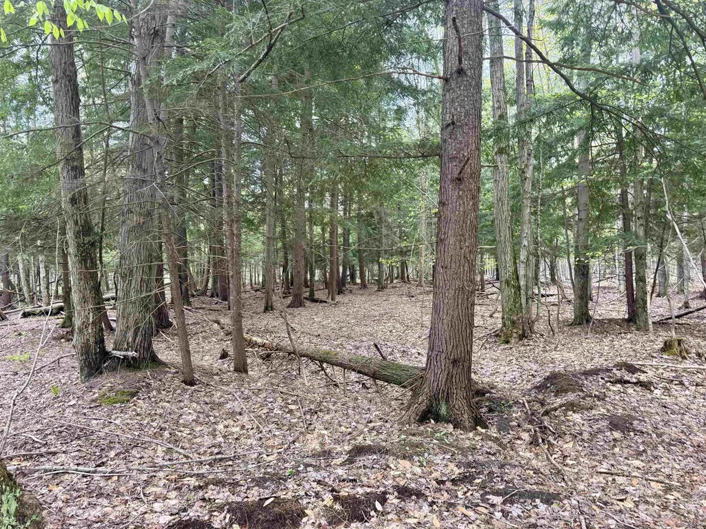 6639 Fall Road Green Lake Township MI 49637
