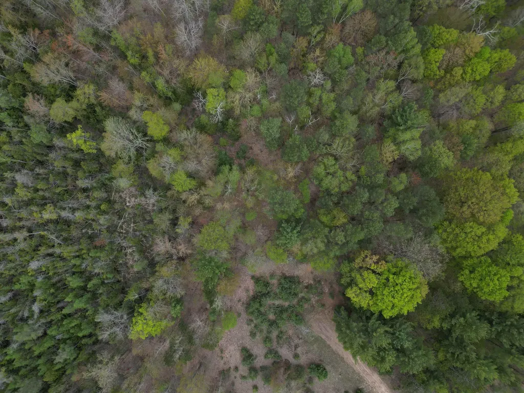 6639 Fall Road Green Lake Township MI 49637