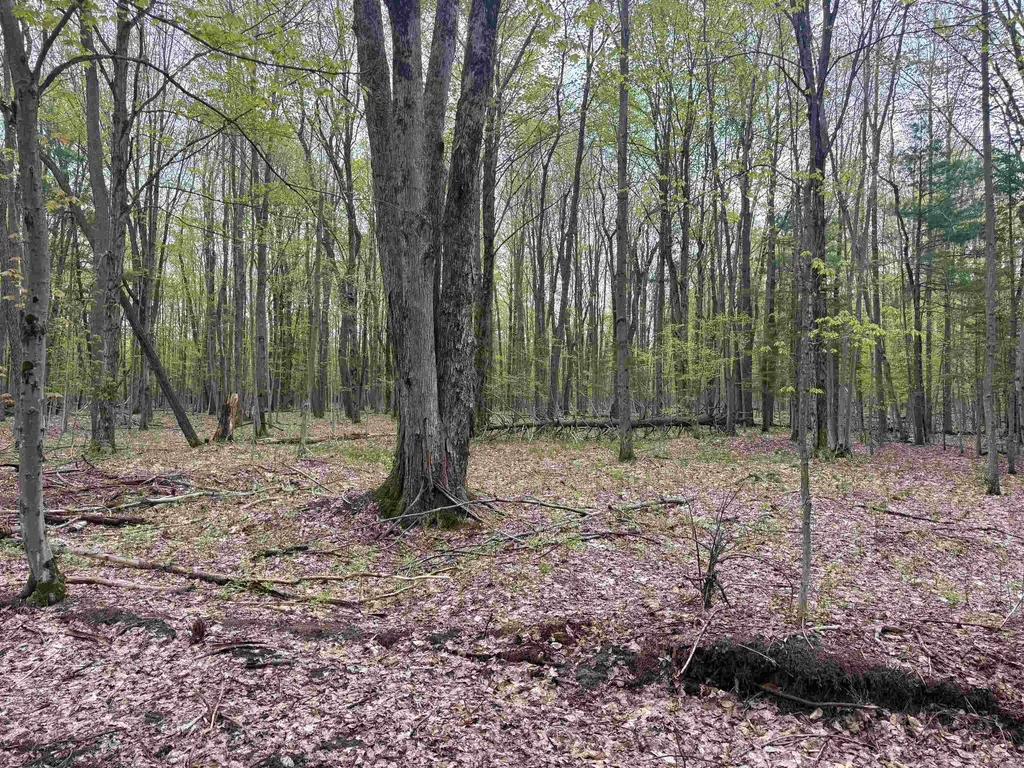 6639 Fall Road Green Lake Township MI 49637