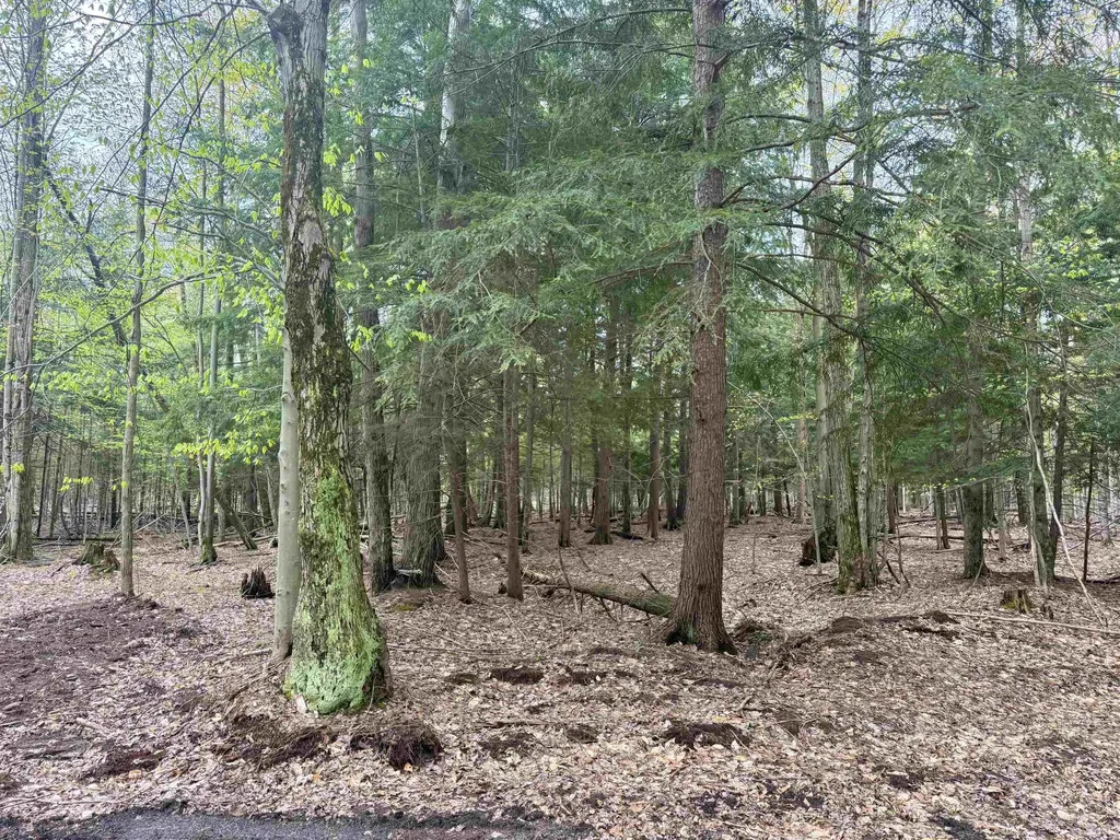 6639 Fall Road Green Lake Township MI 49637