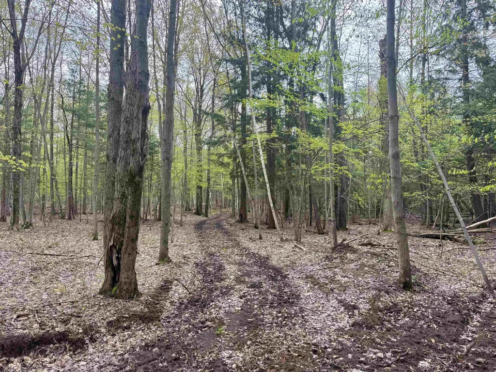 6639 Fall Road Green Lake Township MI 49637