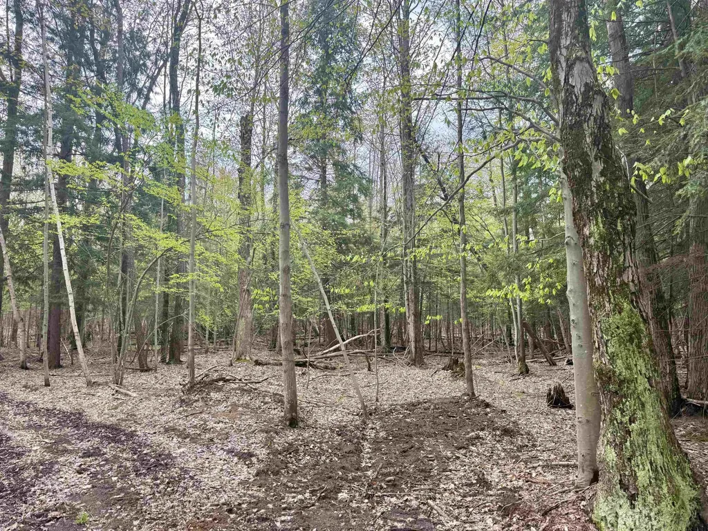6639 Fall Road Green Lake Township MI 49637