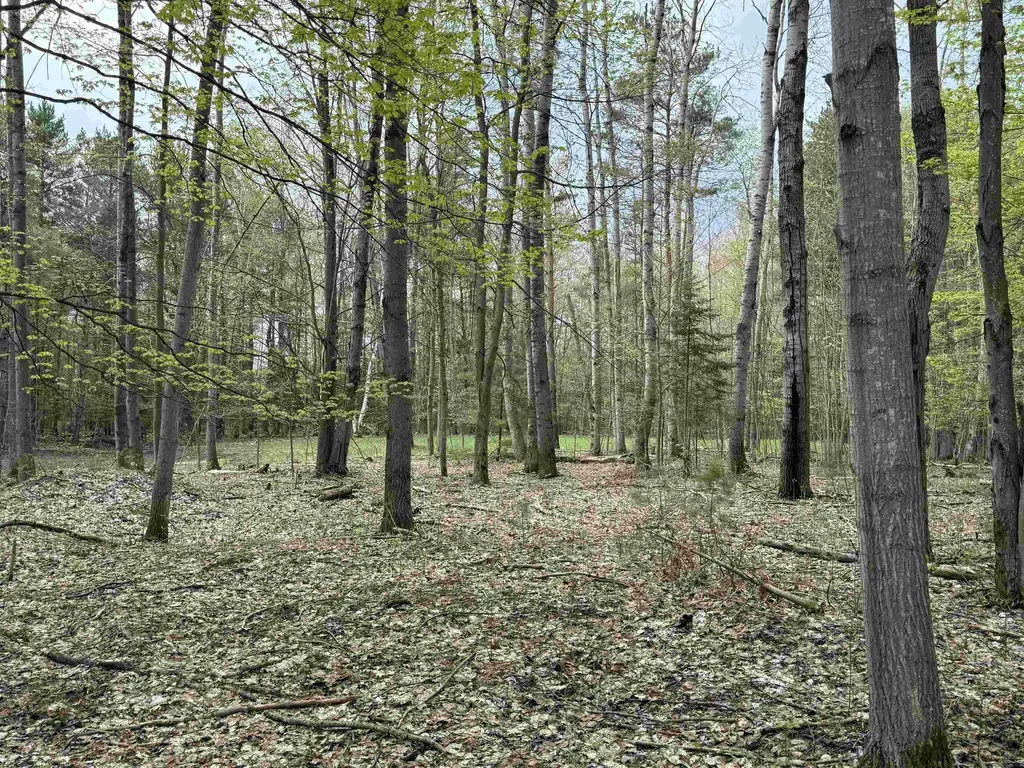 6639 Fall Road Green Lake Township MI 49637
