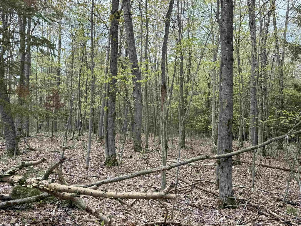 6639 Fall Road Green Lake Township MI 49637