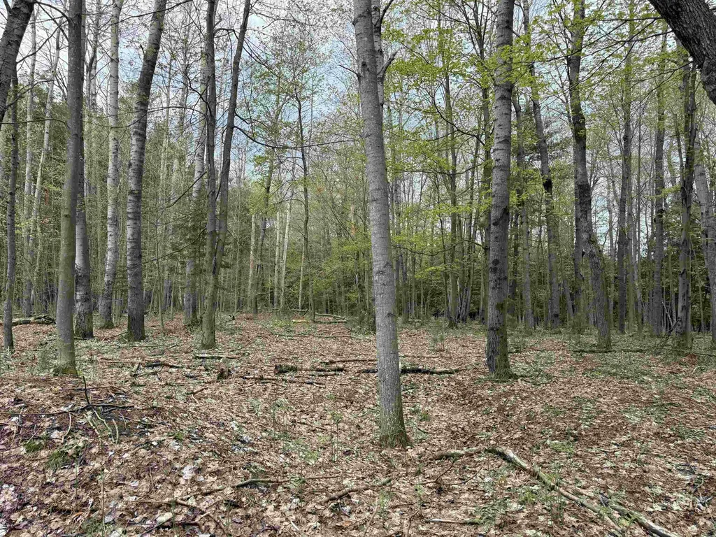 6639 Fall Road Green Lake Township MI 49637