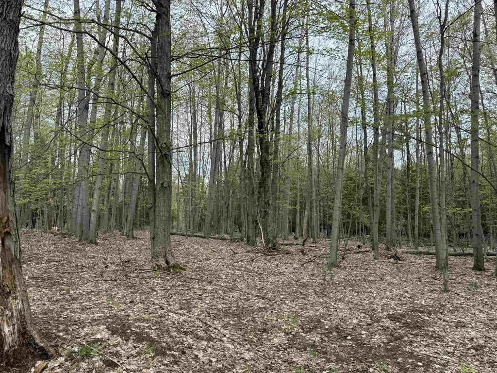 6639 Fall Road Green Lake Township MI 49637