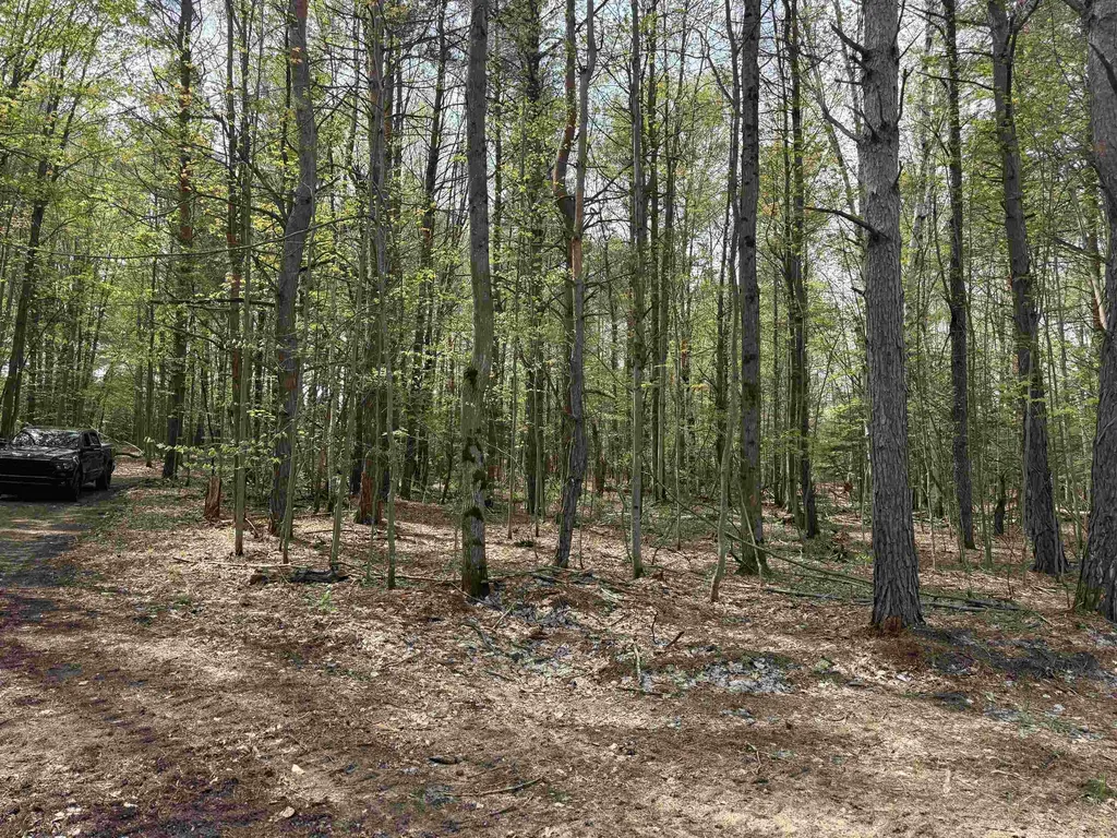 6639 Fall Road Green Lake Township MI 49637