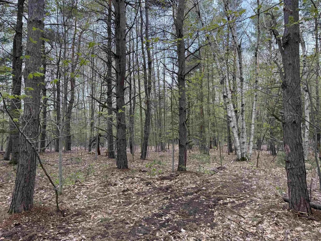 6639 Fall Road Green Lake Township MI 49637