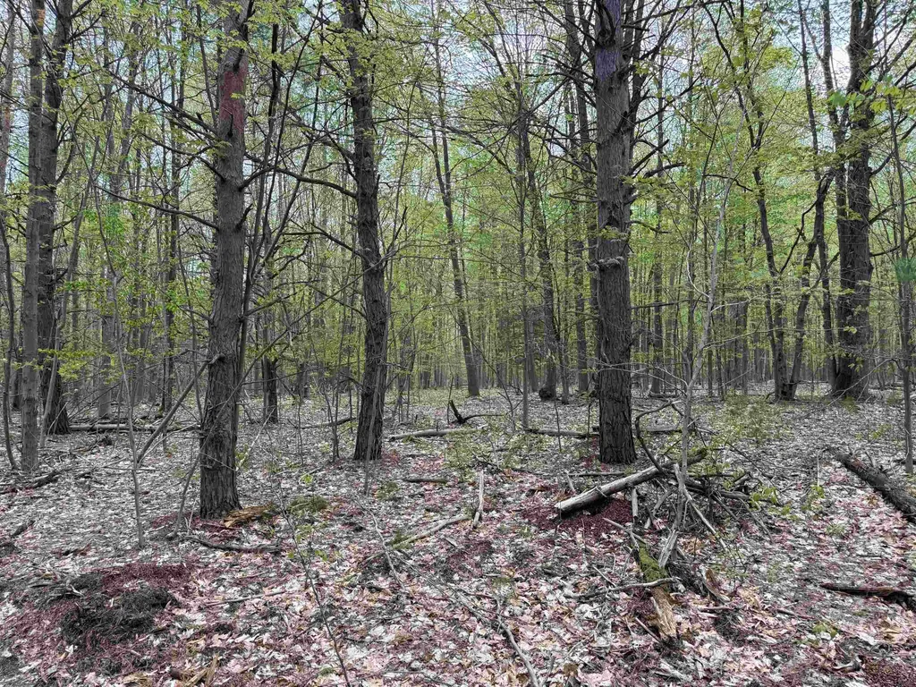 6639 Fall Road Green Lake Township MI 49637