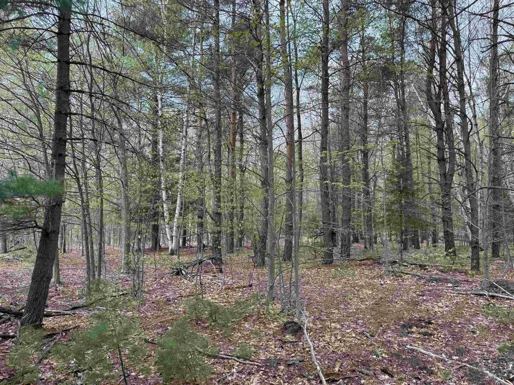 6639 Fall Road Green Lake Township MI 49637