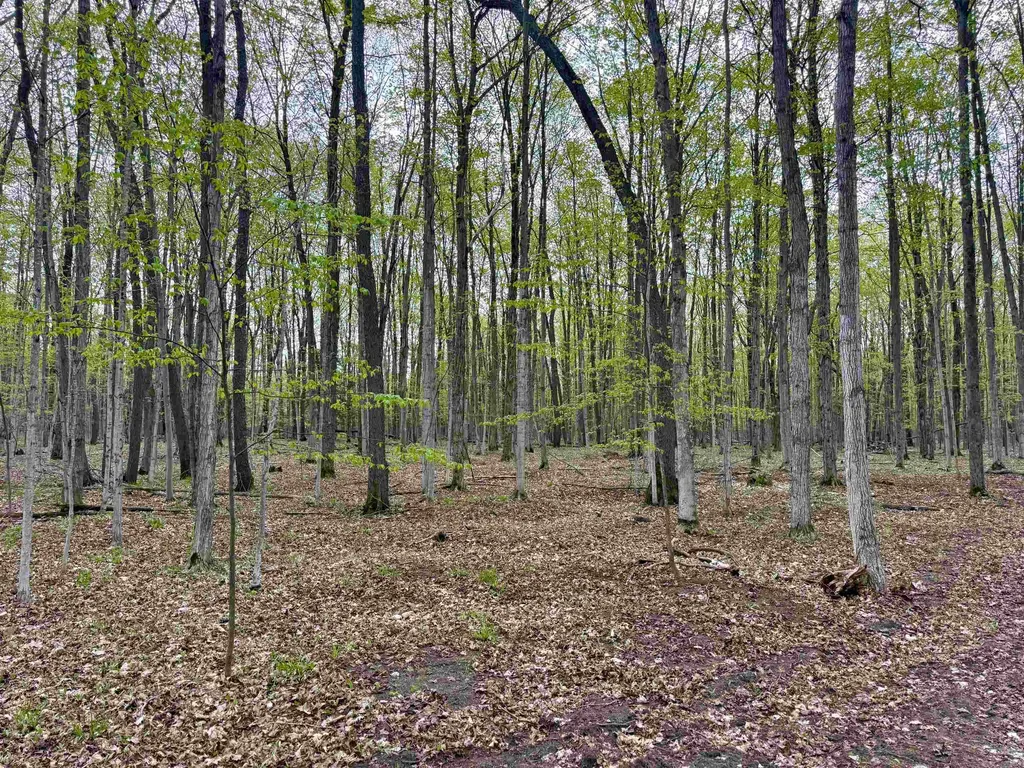 6639 Fall Road Green Lake Township MI 49637