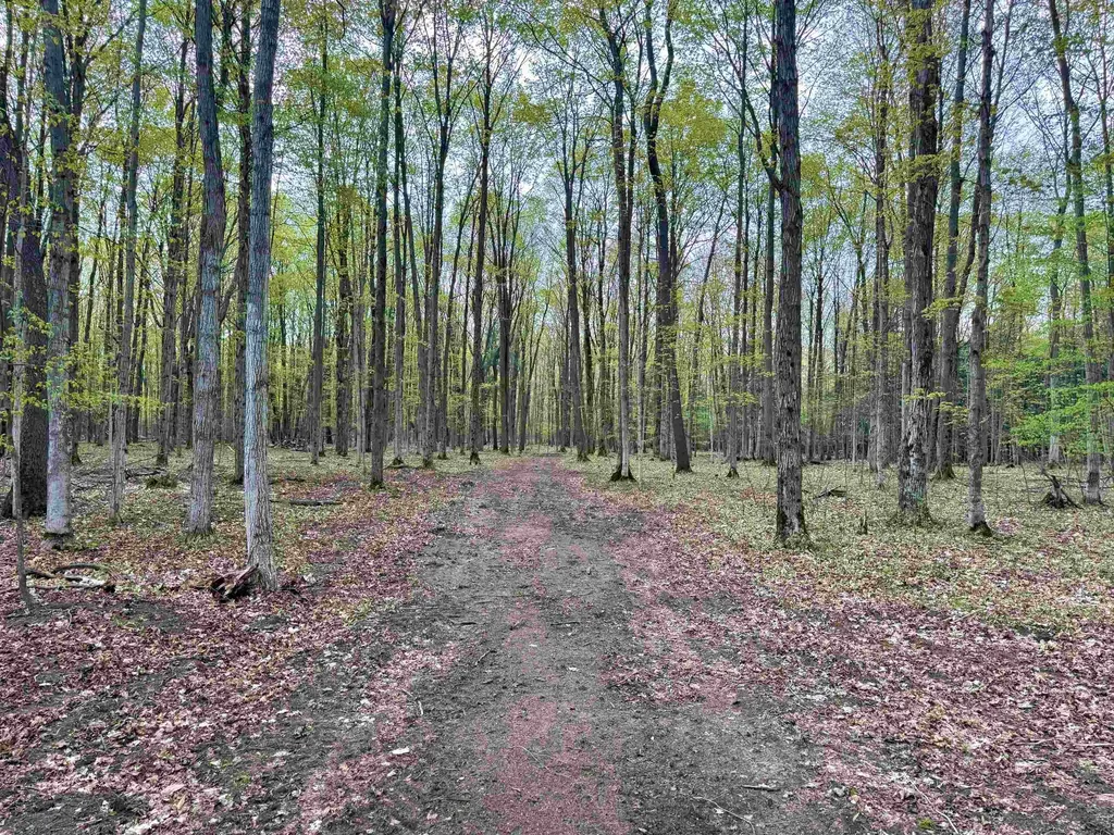 6639 Fall Road Green Lake Township MI 49637