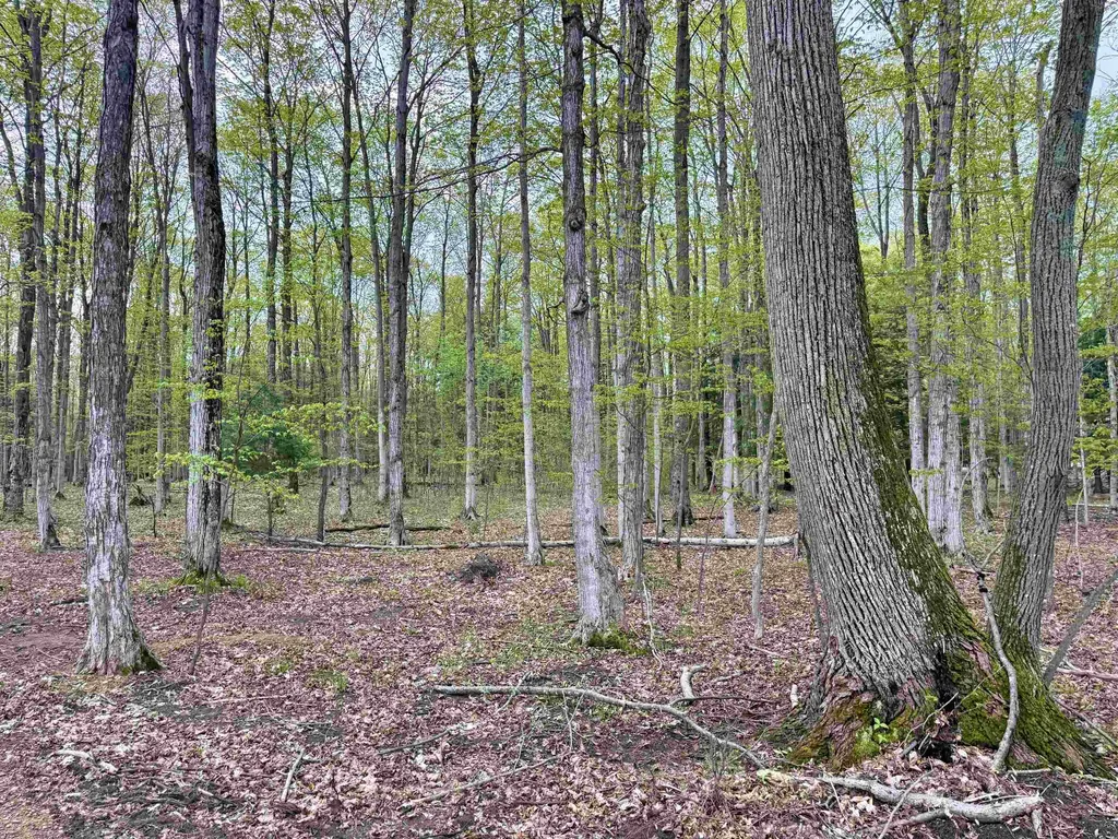 6639 Fall Road Green Lake Township MI 49637