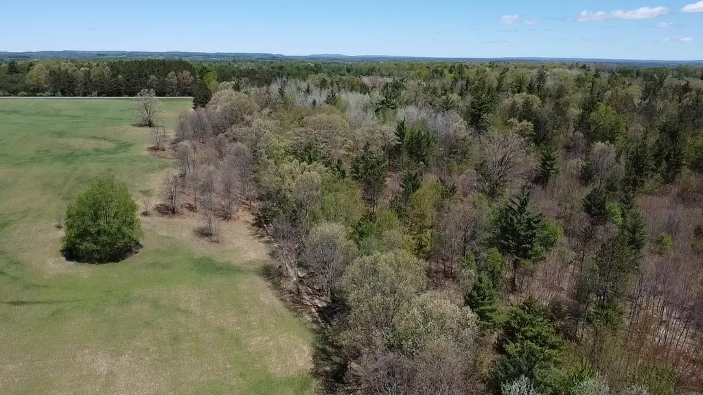 Vl 40 Acres Coates Highway Brown Township MI 49619