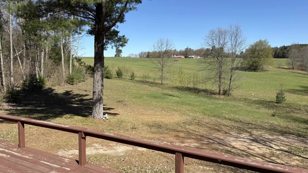 Vl 40 Acres Coates Highway Brown Township MI 49619