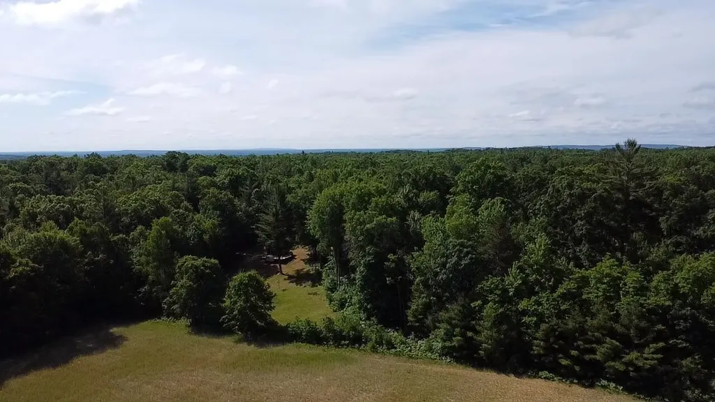 Vl 40 Acres Coates Highway Brown Township MI 49619