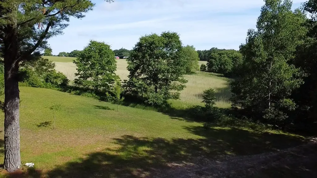 Vl 40 Acres Coates Highway Brown Township MI 49619