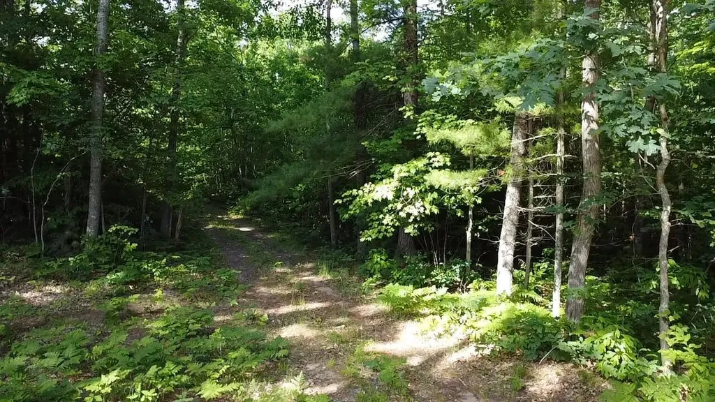 Vl 40 Acres Coates Highway Brown Township MI 49619
