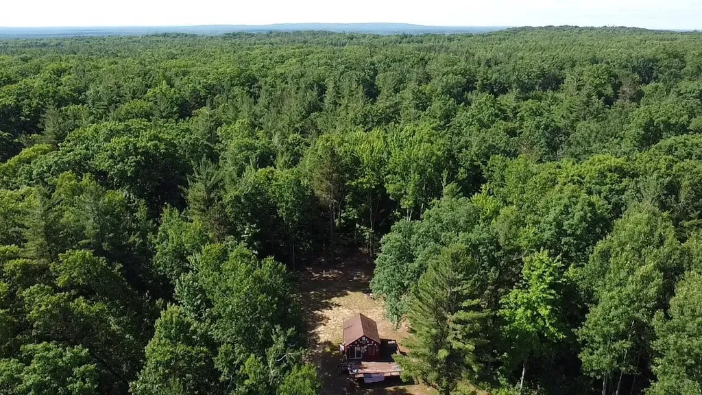 Vl 40 Acres Coates Highway Brown Township MI 49619