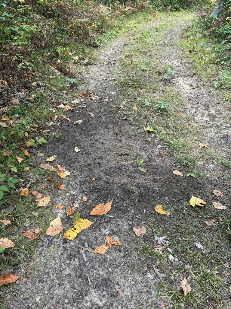 Vl 40 Acres Coates Highway Brown Township MI 49619